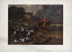 Fox hunting, polo and other horse prints